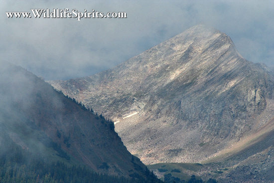Click Picture to send as an  E-PostCard 65k 550x367